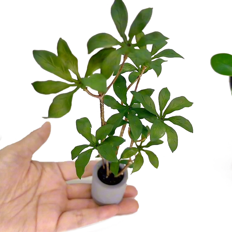 Bonsai Gardenia - Dollhouse Miniature Modelo de Plantas em