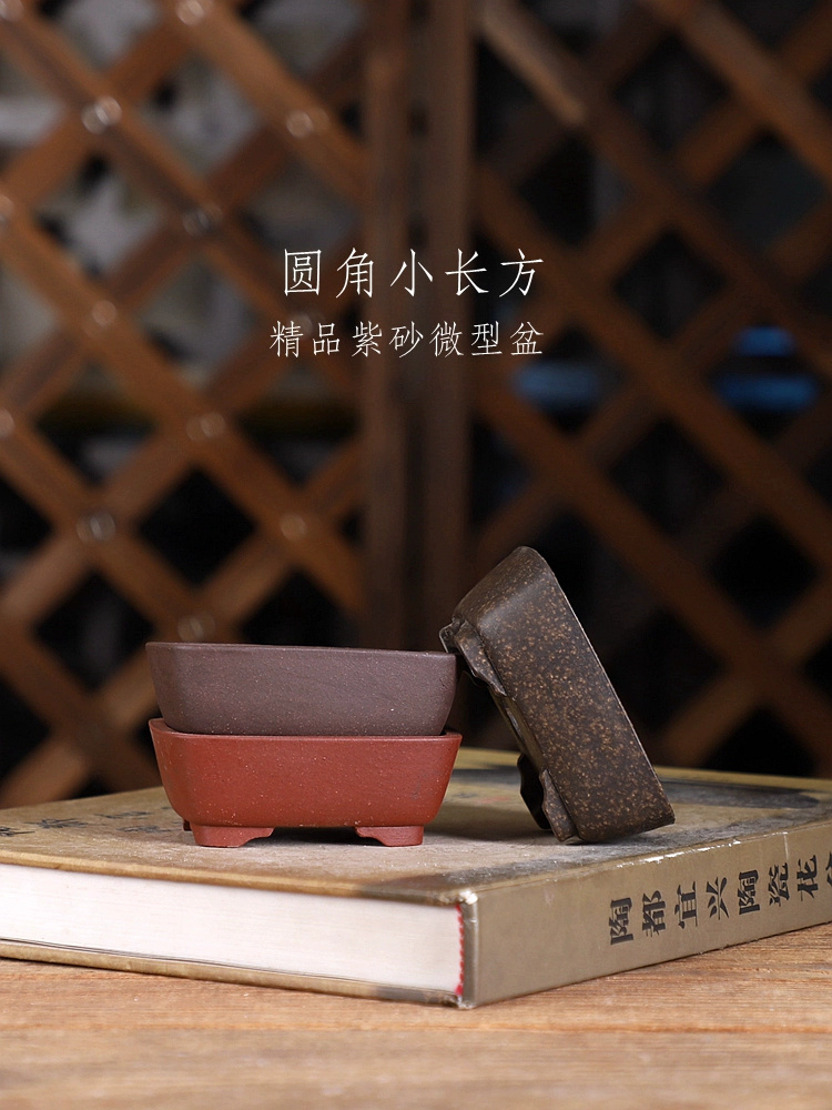 Bonsai Garden With Sand - Pote de bonsai retangular de ângulo