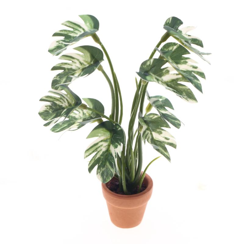 Bonsai Garden Decor - Novo. 1PC Planta Verde Monstera em