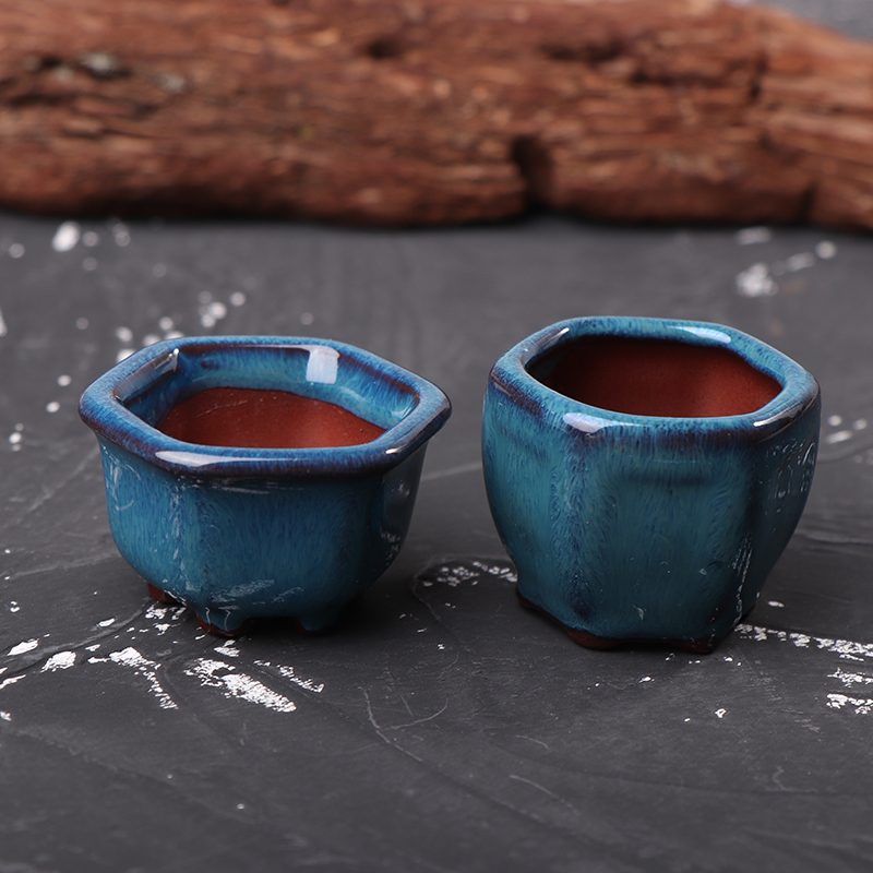 Bonsai Garden With Sand - Mini Vasos de Plantas com Furos,