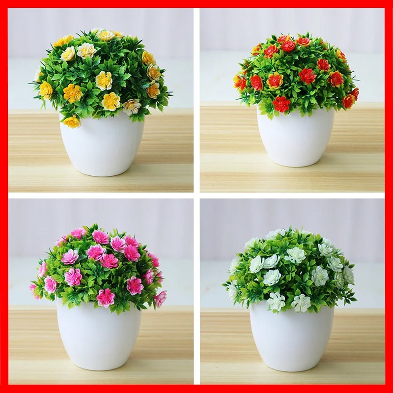 Plantas de Bonsai em vasos art - Bonsai Gardenia avaliação e preço