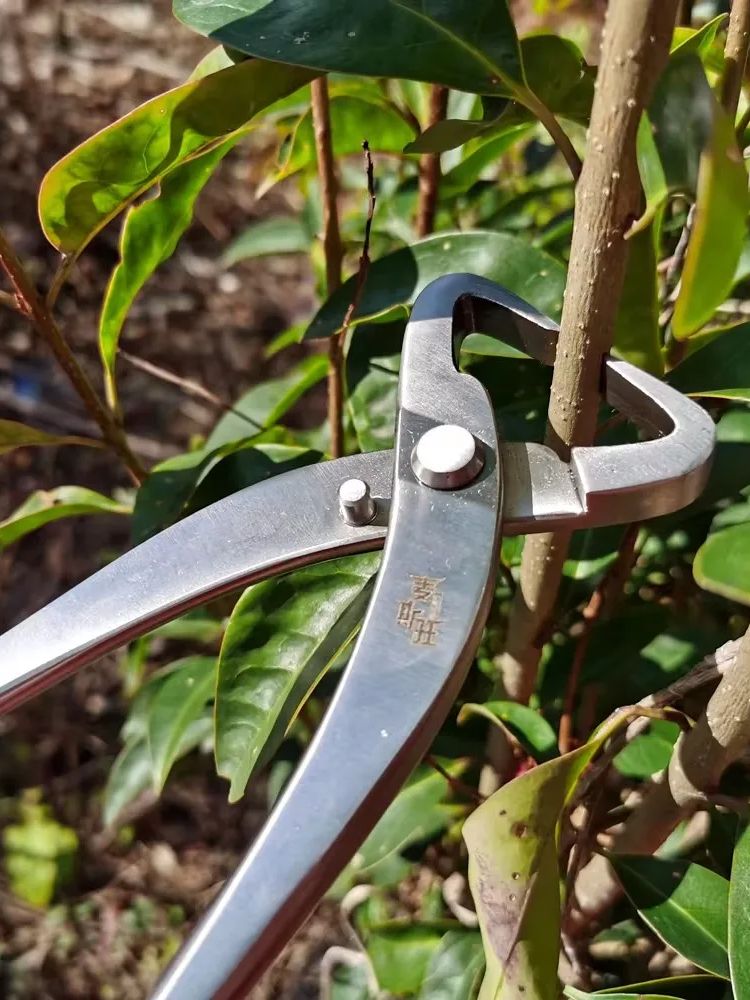 Conjunto Profissional de Ferra - Bonsai Tool Set avaliação e preço