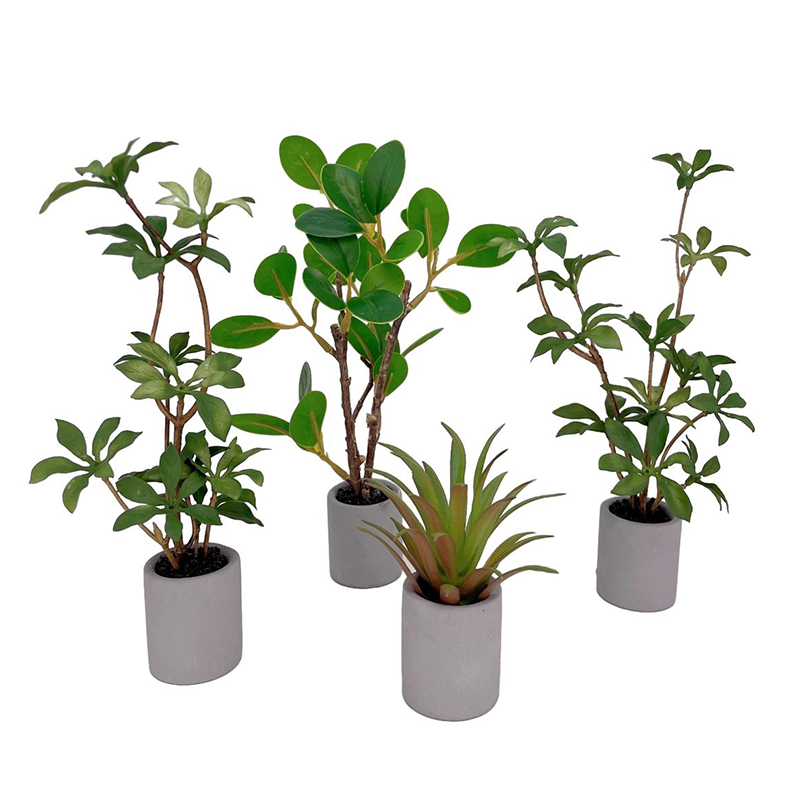 1:6 casa de bonecas em miniatu - Bonsai Gardenia avaliação e preço