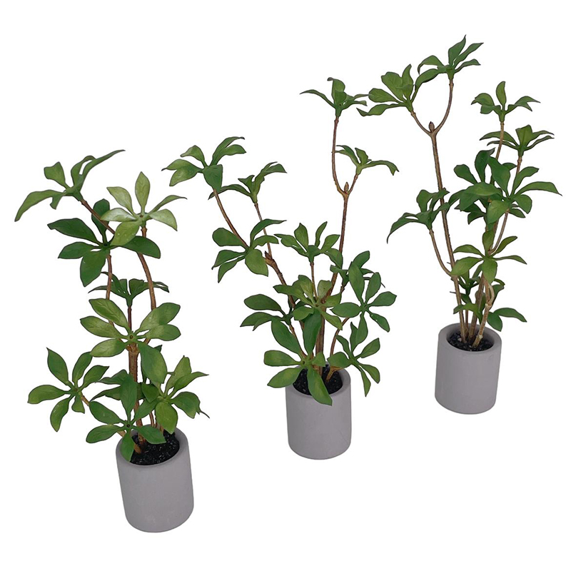 1:6 casa de bonecas em miniatu - Bonsai Gardenia avaliação e preço
