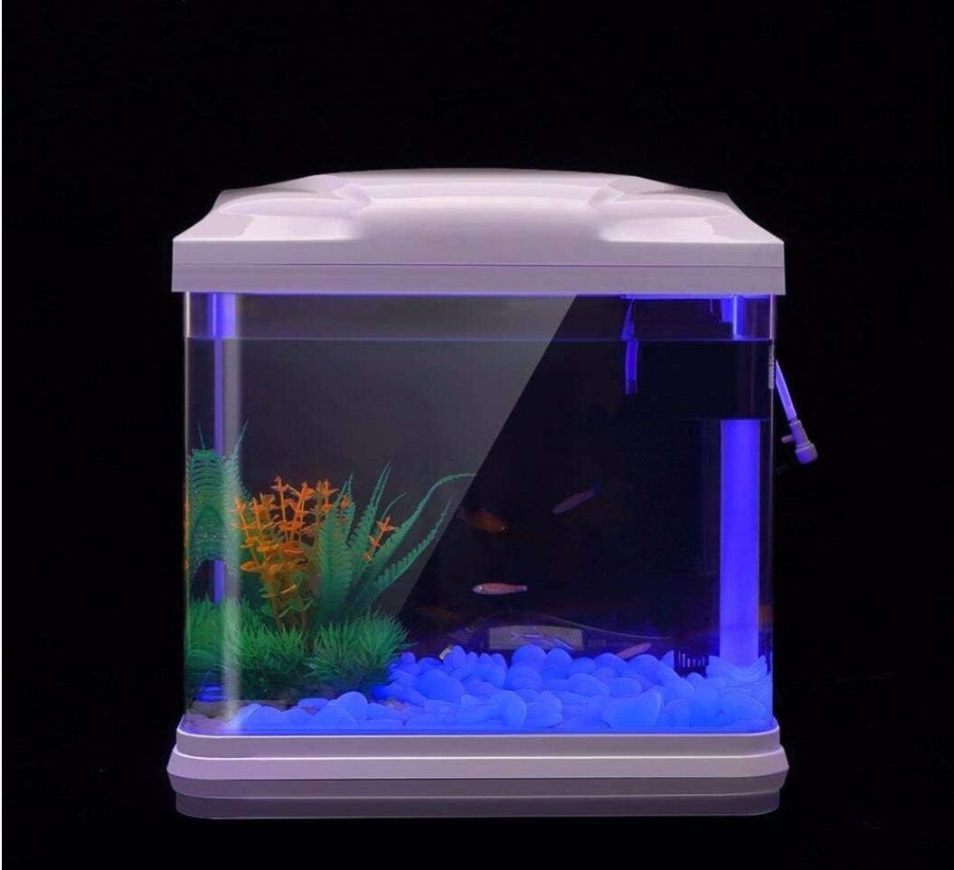 Rochas do tanque de peixes bri - Bonsai Gardenia avaliação e preço