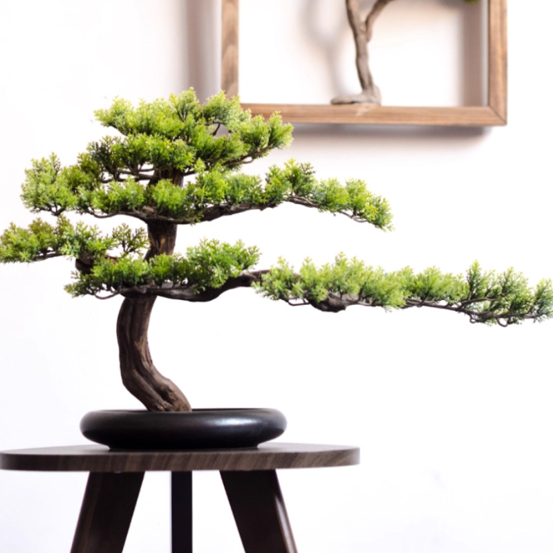 Casa bem-vinhando ornamentos d - Bonsai Garden Entrance avaliação e preço