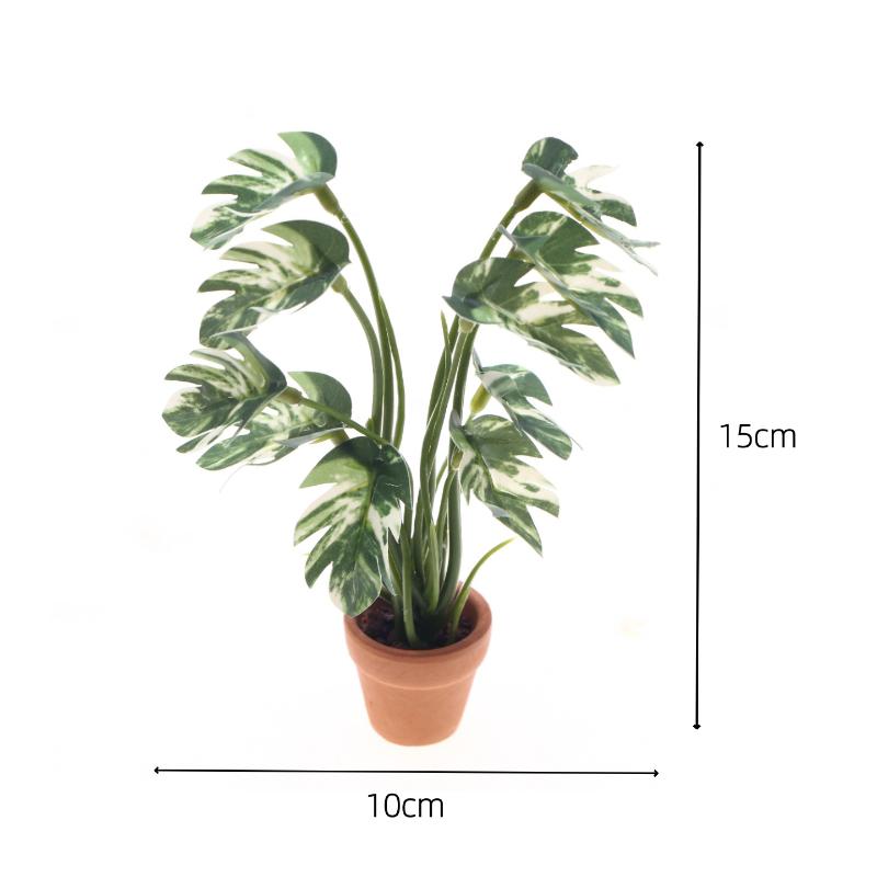 Novo. 1PC Planta Verde Monster - Bonsai Garden Decor avaliação e preço