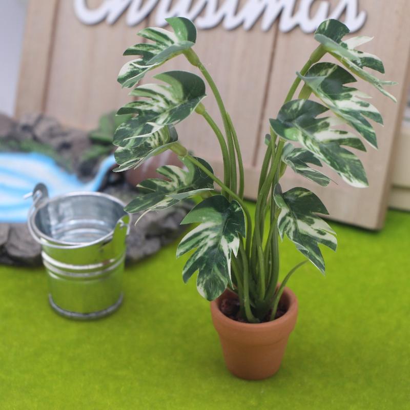 Novo. 1PC Planta Verde Monster - Bonsai Garden Decor avaliação e preço